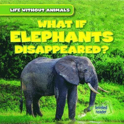 Theresa Emminizer - What If Elephants Disappeared?, Häftad. Tillgänglighet: Lägg i varukorg
