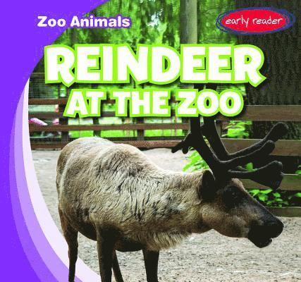 Seth Lynch - Reindeer at the Zoo, Häftad