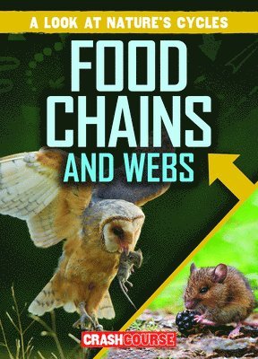 Bray Jacobson - Food Chains and Webs, E-bok
