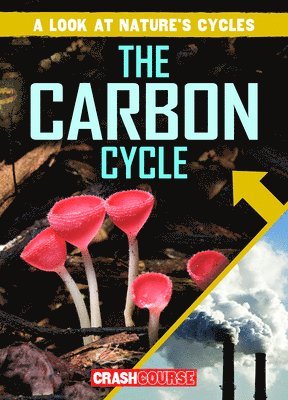 Bray Jacobson - Carbon Cycle, E-bok. Tillgänglighet: Lägg i varukorg