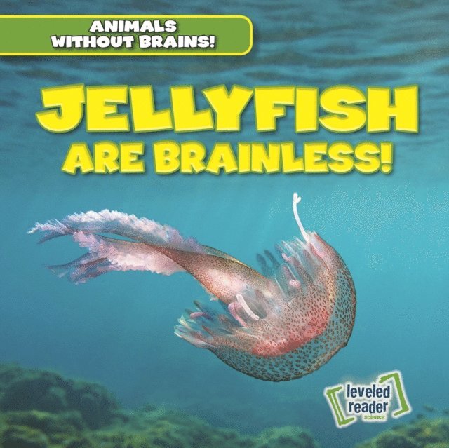 Amanda Vink - Jellyfish Are Brainless!, E-bok