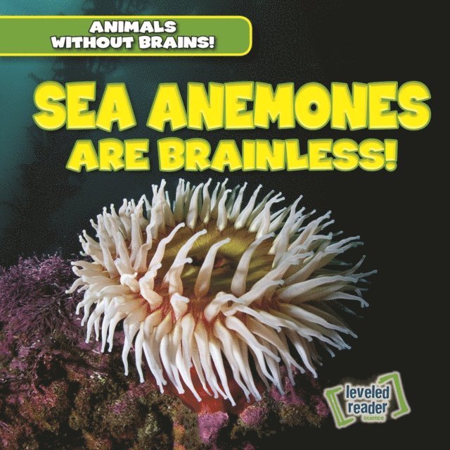 Amanda Vink - Sea Anemones Are Brainless!, E-bok