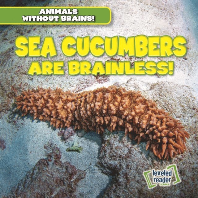Amanda Vink - Sea Cucumbers Are Brainless!, E-bok