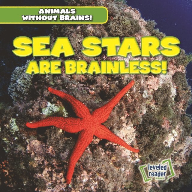 Amanda Vink - Sea Stars Are Brainless!, E-bok