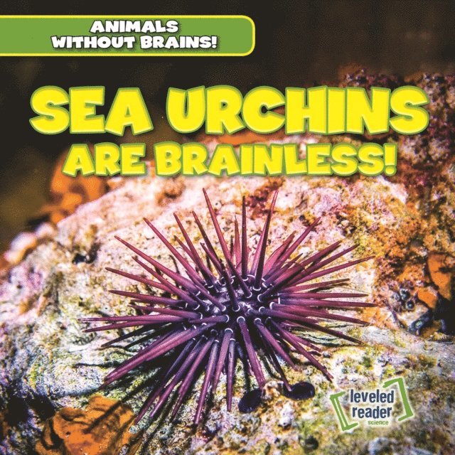 Amanda Vink - Sea Urchins Are Brainless!, E-bok