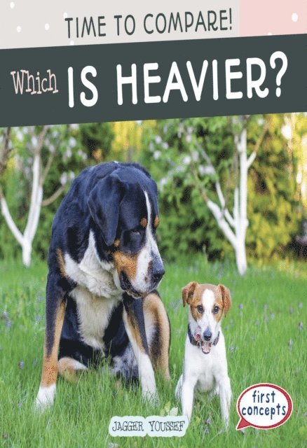Jagger Youssef - Which Is Heavier?, E-bok