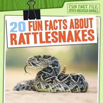 Natalie Humphrey - 20 Fun Facts about Rattlesnakes, Inbunden. Tillgänglighet: Lägg i varukorg