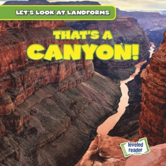 Dwayne Hicks - That's a Canyon!, E-bok