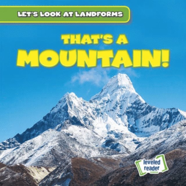 Dwayne Hicks - That's a Mountain!, E-bok