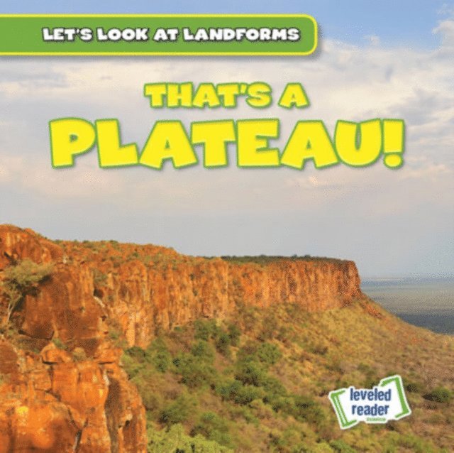 Dwayne Hicks - That's a Plateau!, E-bok