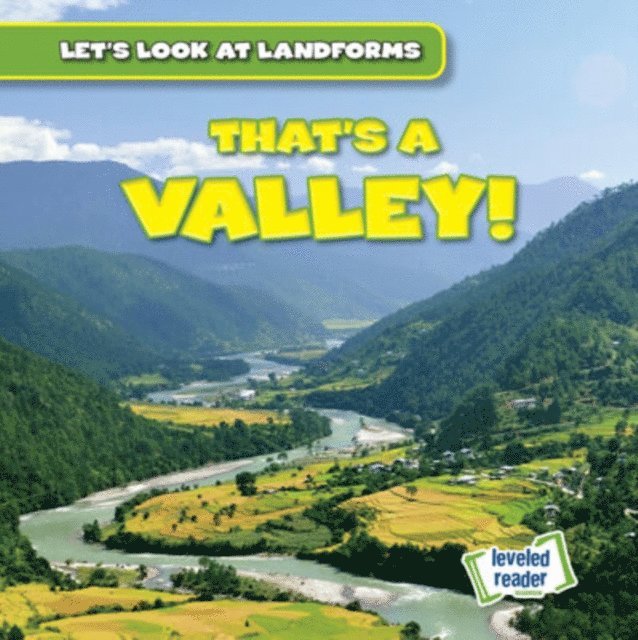 Dwayne Hicks - That's a Valley!, E-bok
