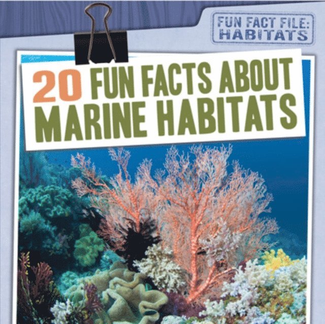 20 Fun Facts About Marine Habitats