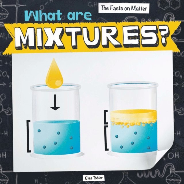 Elise Tobler - What Are Mixtures?, E-bok