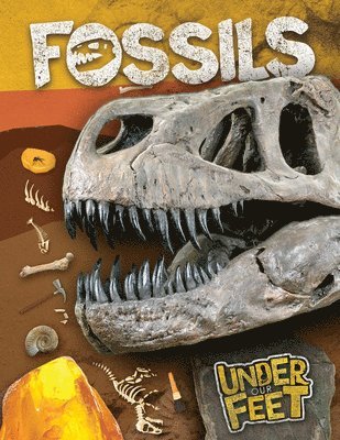 Kirsty Holmes - Fossils, Häftad