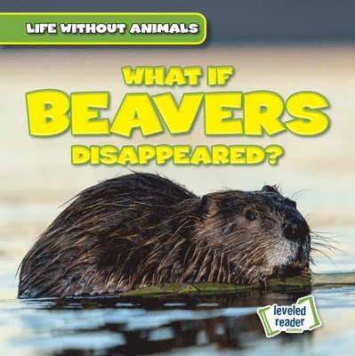 Anthony Ardely - What If Beavers Disappeared?, Häftad