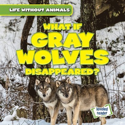 Anthony Ardely - What If Gray Wolves Disappeared?, Häftad