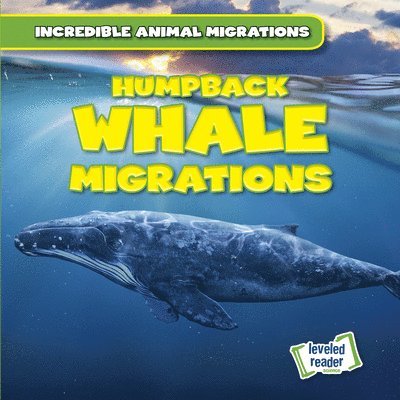 Anna McDougal - Humpback Whale Migrations, Häftad