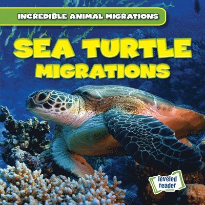 Anna McDougal - Sea Turtle Migrations, Häftad