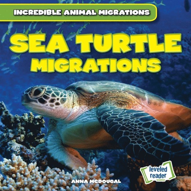 Anna McDougal - Sea Turtle Migrations, E-bok