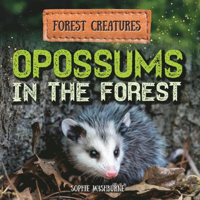 Sophie Washburne - Opossums in the Forest, E-bok