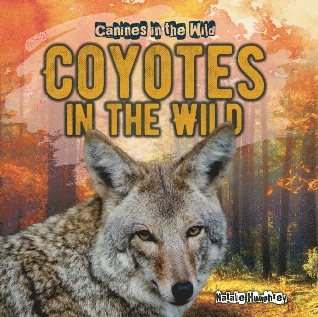 Natalie Humphrey - Coyotes in the Wild, E-bok. Tillgänglighet: Lägg i varukorg