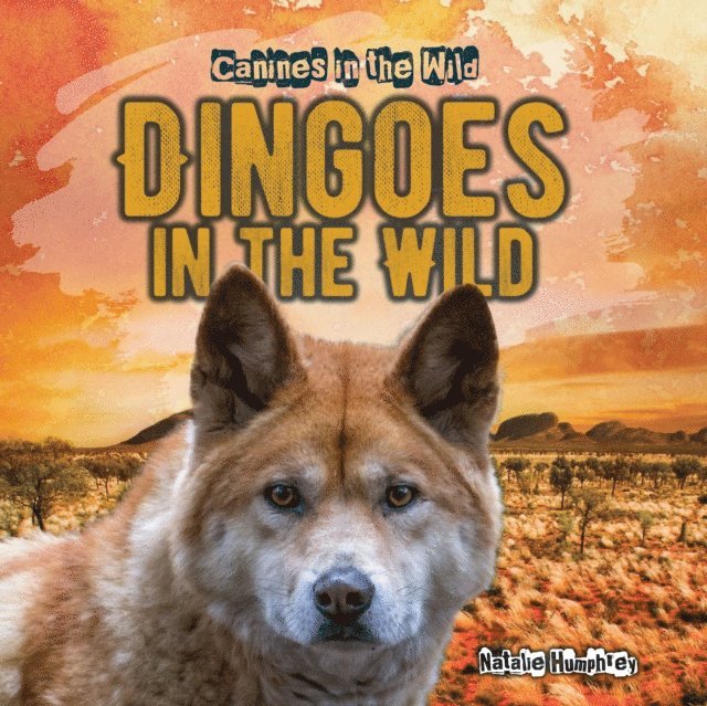 Natalie Humphrey - Dingoes in the Wild, E-bok. Tillgänglighet: Lägg i varukorg