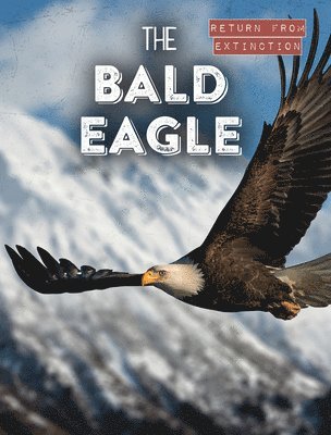Leonard Clasky - The Bald Eagle, Inbunden