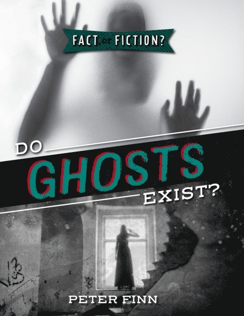 Peter Finn - Do Ghosts Exist?, E-bok