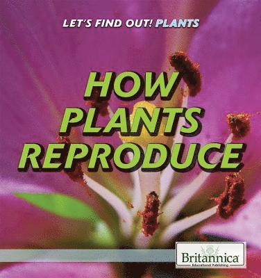 Judy Silverstein Gray - How Plants Reproduce, Häftad