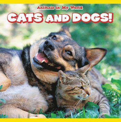Andrea Palmer - Cats and Dogs!, Häftad. Tillgänglighet: Lägg i varukorg