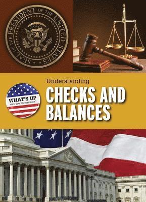 Amie Jane Leavitt - Understanding Checks and Balances, Häftad