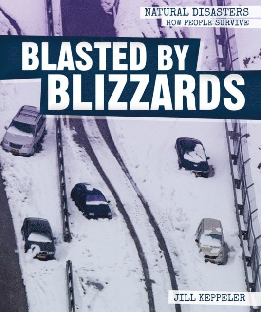 Blasted by Blizzards