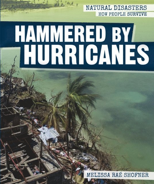 Melissa Rae Shofner - Hammered by Hurricanes, E-bok
