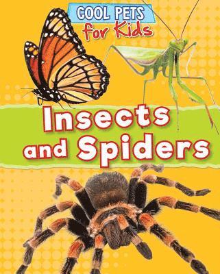 Dawn Titmus - Insects and Spiders, Inbunden