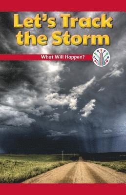 Dale Dixon - Let's Track the Storm: What Will Happen?, Häftad