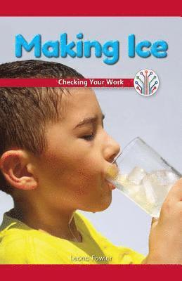 Leona Fowler - Making Ice: Checking Your Work, Häftad