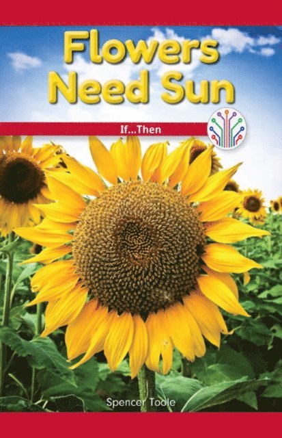 Spencer Toole - Flowers Need Sun, E-bok