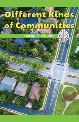 Sadie Silva - Different Kinds of Communities: Putting Data in Order, Häftad