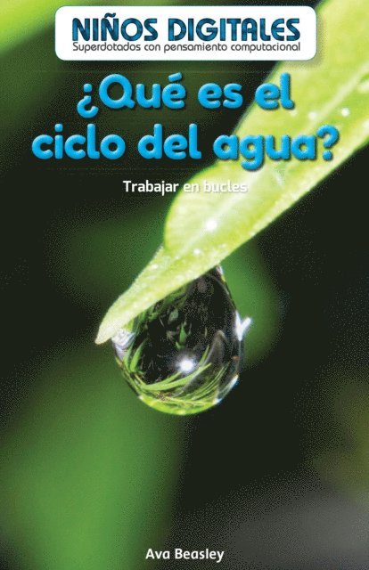Ava Beasley - ¿Qué es el ciclo del agua?: Trabajar en bucles (What’s the Water Cycle?: Working in a Loop), E-bok