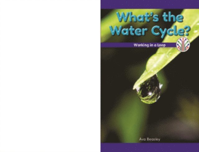 Ava Beasley - What's the Water Cycle?, E-bok