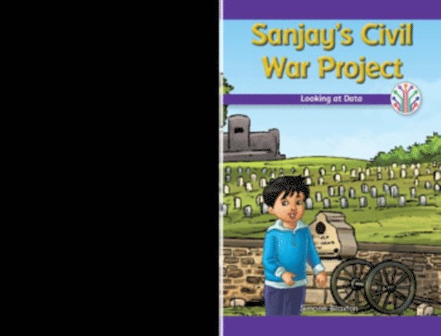 Simone Braxton - Sanjay's Civil War Project, E-bok
