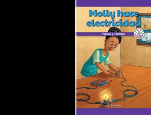 Leigh McClure - Molly genera electricidad: Probar y verificar (Molly Makes Electricity: Testing and Checking), E-bok