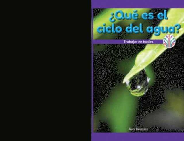 Ava Beasley - ¿Qué es el ciclo del agua?: Trabajar en bucles (What’s the Water Cycle?: Working in a Loop), E-bok