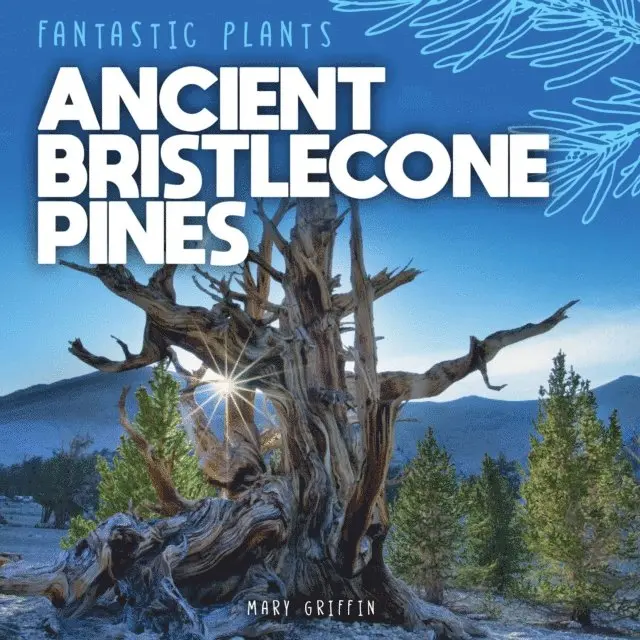 Mary Griffin - Ancient Bristlecone Pines, E-bok. Tillgänglighet: Lägg i varukorg