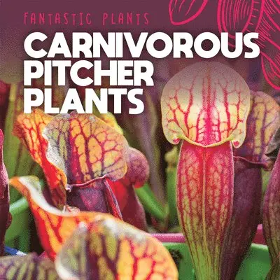 Mary Griffin - Carnivorous Pitcher Plants, Häftad. Tillgänglighet: Lägg i varukorg