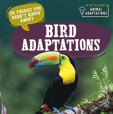 Sloane Hughes - 20 Things You Didn't Know about Bird Adaptations, Inbunden