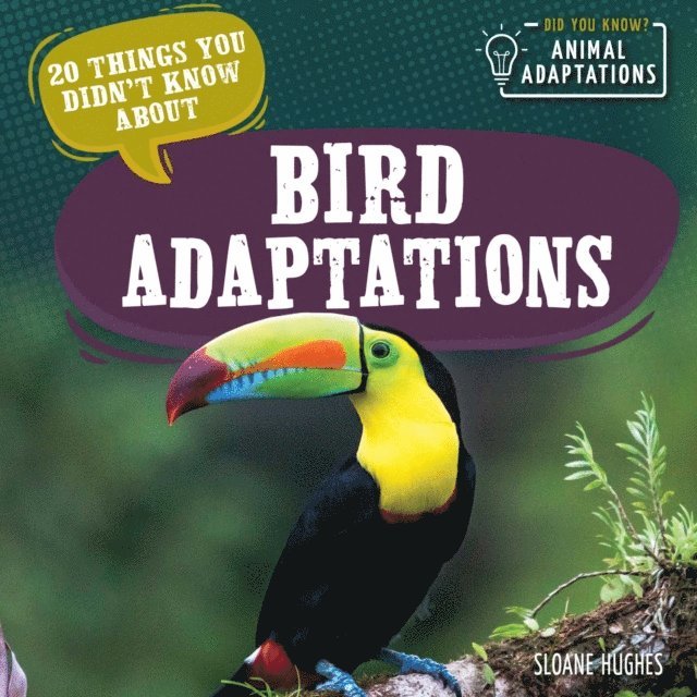 Sloane Hughes - 20 Things You Didn't Know About Bird Adaptations, E-bok