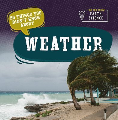 Doug Bradley - 20 Things You Didn't Know about Weather, Häftad