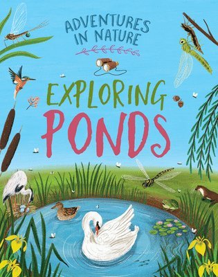 Jen Green - Exploring Ponds, Inbunden