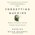 Forgetting Machine